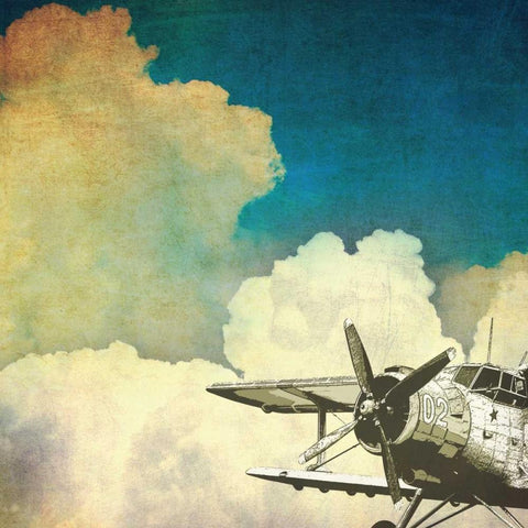 Flying High Black Modern Wood Framed Art Print by Calaguiro, Kevin