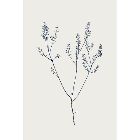 Graceful Day I Black Modern Wood Framed Art Print with Double Matting by Flora B