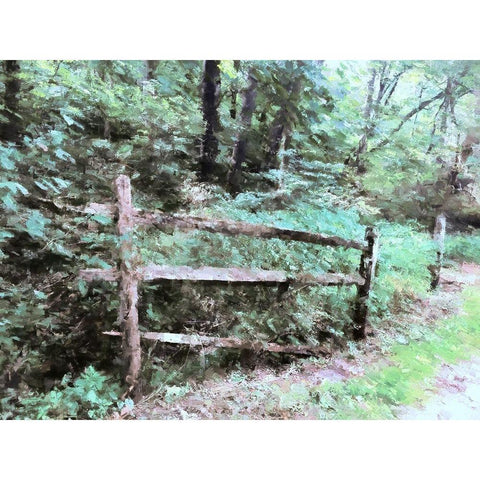 Abandoned Fence Black Modern Wood Framed Art Print with Double Matting by Curinga, Kim