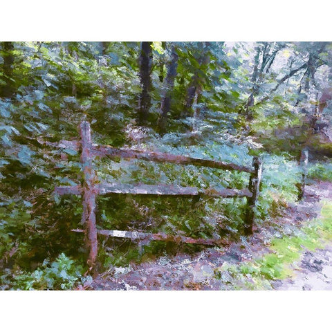 Abandoned Fence Black Modern Wood Framed Art Print with Double Matting by Curinga, Kim