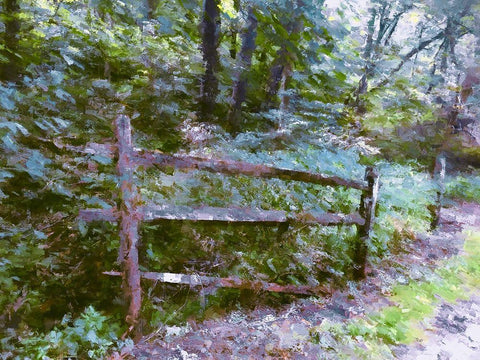 Abandoned Fence Black Ornate Wood Framed Art Print with Double Matting by Curinga, Kim
