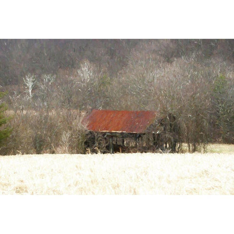 Mingo Barn Gold Ornate Wood Framed Art Print with Double Matting by Curinga, Kim