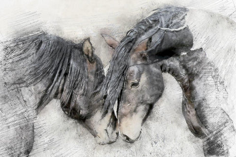 Equine Friendship White Modern Wood Framed Art Print with Double Matting by Curinga, Kim