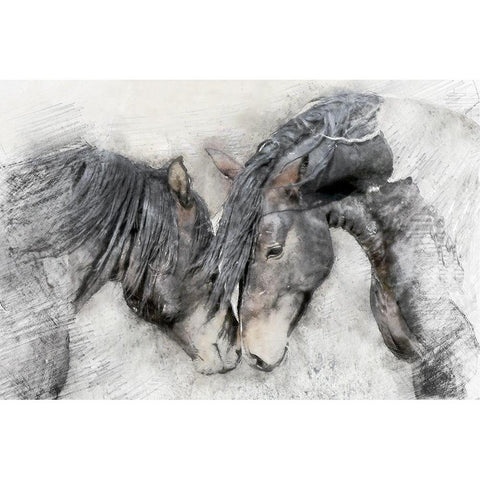 Equine Friendship Black Modern Wood Framed Art Print with Double Matting by Curinga, Kim