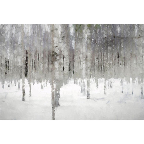 Birches In Fog Black Modern Wood Framed Art Print by Curinga, Kim
