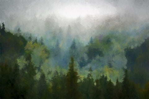 Misty WoodsÂ  White Modern Wood Framed Art Print with Double Matting by Curinga, Kim