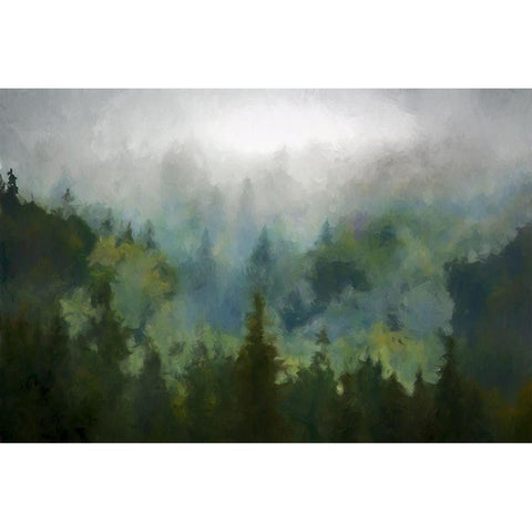 Misty WoodsÂ  Black Modern Wood Framed Art Print with Double Matting by Curinga, Kim
