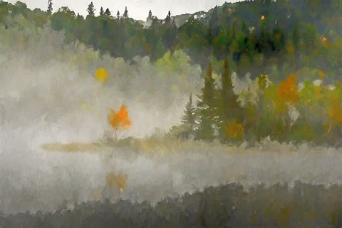 Misty Isle Black Modern Wood Framed Art Print by Curinga, Kim