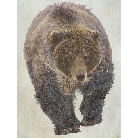 Brown Bear Walking Gold Ornate Wood Framed Art Print with Double Matting by Curinga, Kim
