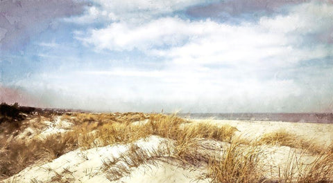 Dune Grass  Black Ornate Wood Framed Art Print with Double Matting by Curinga, Kim
