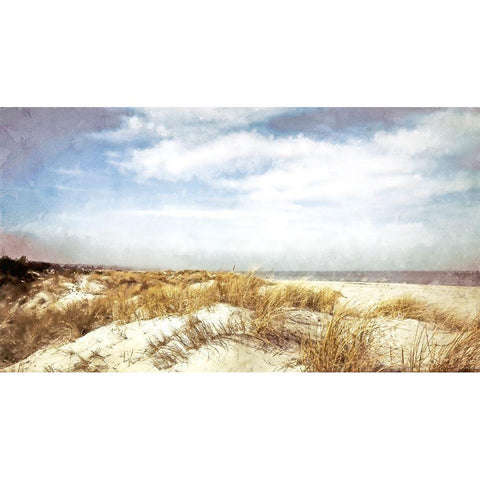 Dune Grass  Black Modern Wood Framed Art Print by Curinga, Kim