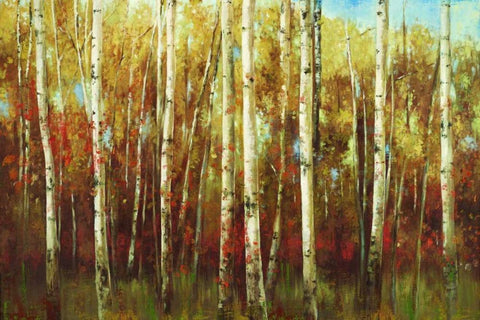 Birch Forest White Modern Wood Framed Art Print with Double Matting by K., Ella