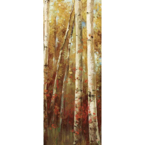 Birch Forest I Black Modern Wood Framed Art Print with Double Matting by K, Ella