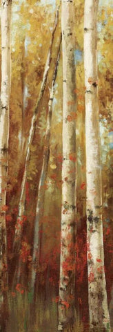 Birch Forest I White Modern Wood Framed Art Print with Double Matting by K, Ella