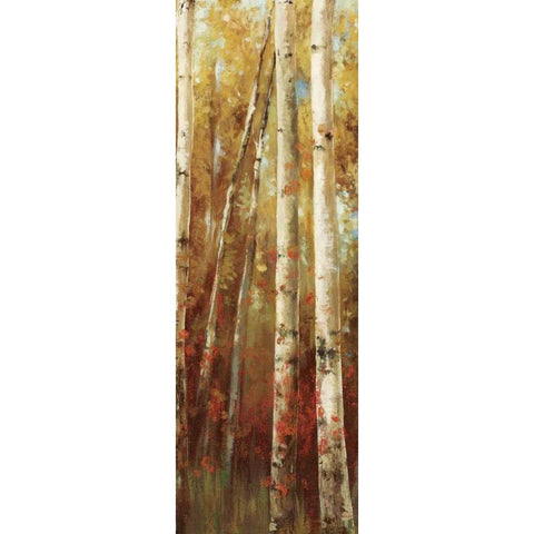 Birch Forest I Black Modern Wood Framed Art Print by K, Ella