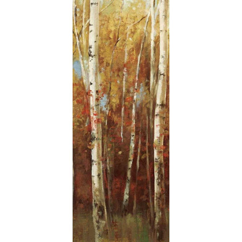 Birch Forest II Gold Ornate Wood Framed Art Print with Double Matting by K, Ella