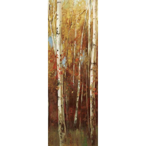 Birch Forest II White Modern Wood Framed Art Print by K, Ella