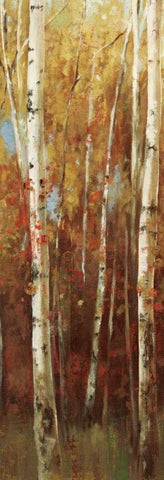 Birch Forest II Black Ornate Wood Framed Art Print with Double Matting by K, Ella