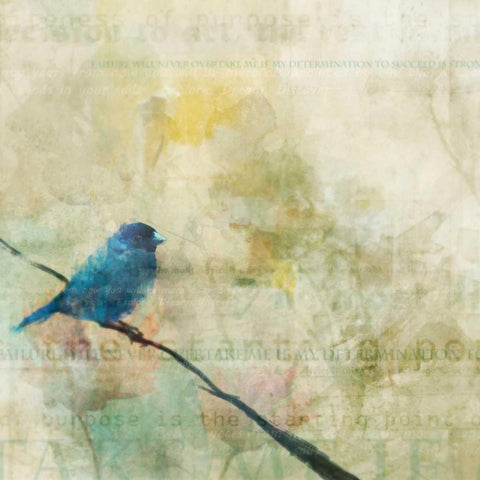 Nesting Bird I Black Modern Wood Framed Art Print by Roko, Ken