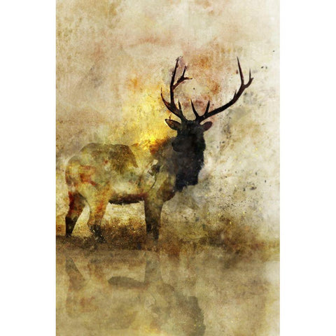 Calm Deer I Gold Ornate Wood Framed Art Print with Double Matting by Roko, Ken