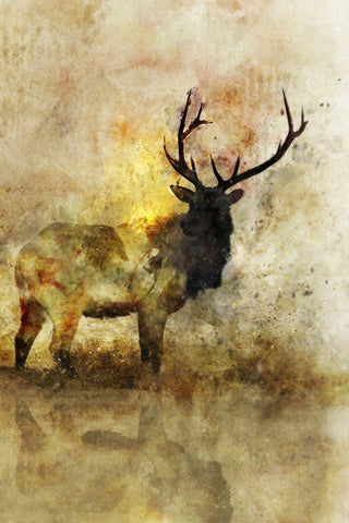 Calm Deer I Black Ornate Wood Framed Art Print with Double Matting by Roko, Ken
