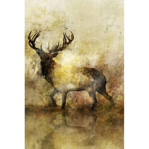 Calm Deer II Black Modern Wood Framed Art Print with Double Matting by Roko, Ken