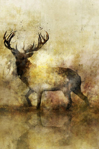 Calm Deer II White Modern Wood Framed Art Print with Double Matting by Roko, Ken