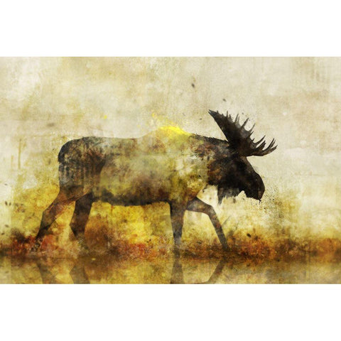 Happy Moose I Black Modern Wood Framed Art Print with Double Matting by Roko, Ken