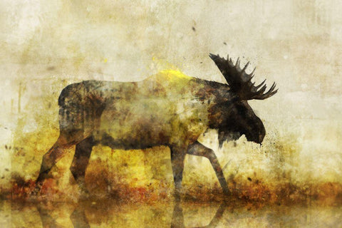 Happy Moose I White Modern Wood Framed Art Print with Double Matting by Roko, Ken