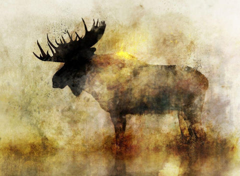 Happy Moose II Black Ornate Wood Framed Art Print with Double Matting by Roko, Ken