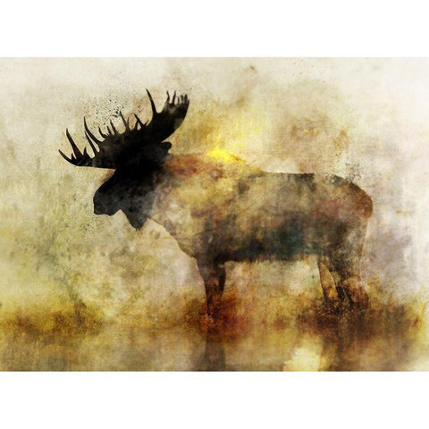 Happy Moose II Gold Ornate Wood Framed Art Print with Double Matting by Roko, Ken