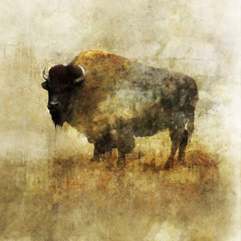 Peaceful Bison II Black Ornate Wood Framed Art Print with Double Matting by Roko, Ken