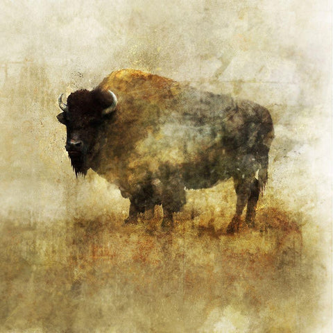 Peaceful Bison II Black Modern Wood Framed Art Print by Roko, Ken