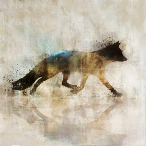 Fox Walk I Black Modern Wood Framed Art Print by Roko, Ken