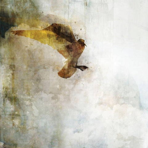 Ocean Flight I White Modern Wood Framed Art Print with Double Matting by Roko, Ken