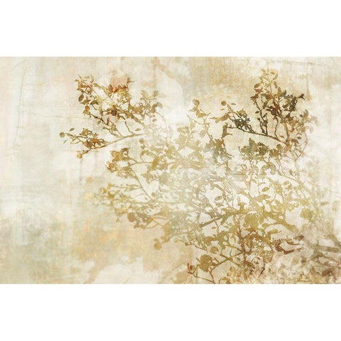 Dream of Trees I Gold Ornate Wood Framed Art Print with Double Matting by Roko, Ken