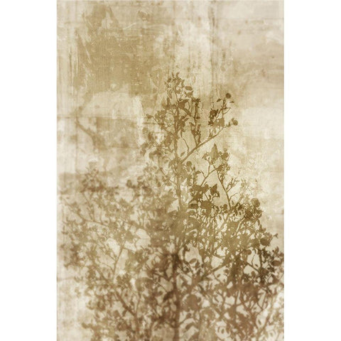Dream of Trees II Black Modern Wood Framed Art Print by Roko, Ken
