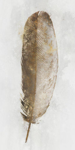 Golden Feather I White Modern Wood Framed Art Print with Double Matting by Roko, Ken