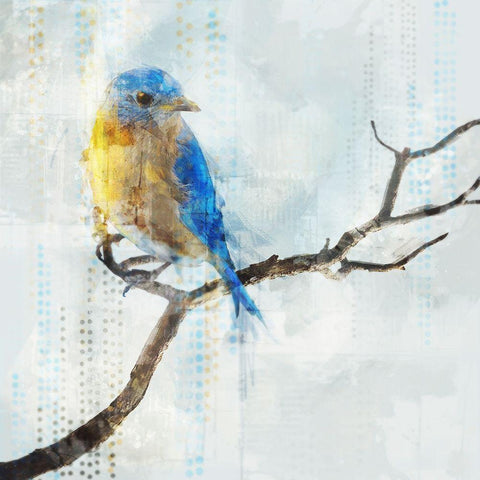 Little Blue Bird I  Black Modern Wood Framed Art Print with Double Matting by Roko, Ken