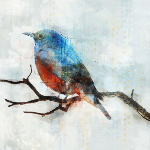 Little Blue Bird II  White Modern Wood Framed Art Print with Double Matting by Roko, Ken