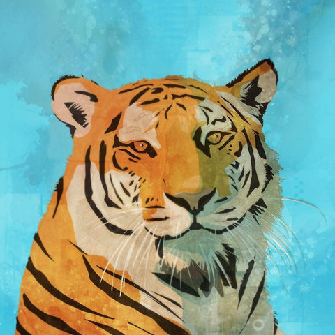 Indifferent Tiger  White Modern Wood Framed Art Print by Roko, Ken
