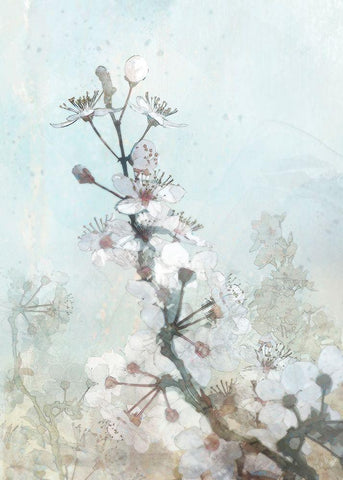 Climbing Cherry Blossoms I  Black Ornate Wood Framed Art Print with Double Matting by Roko, Ken