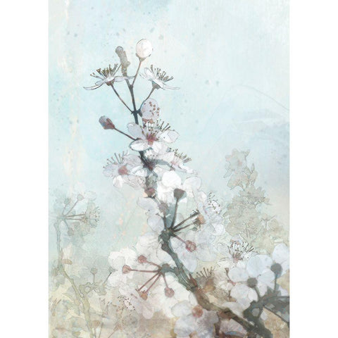 Climbing Cherry Blossoms I  Gold Ornate Wood Framed Art Print with Double Matting by Roko, Ken