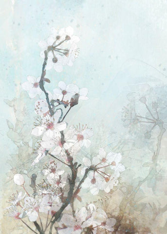 Climbing Cherry Blossoms II  Black Ornate Wood Framed Art Print with Double Matting by Roko, Ken
