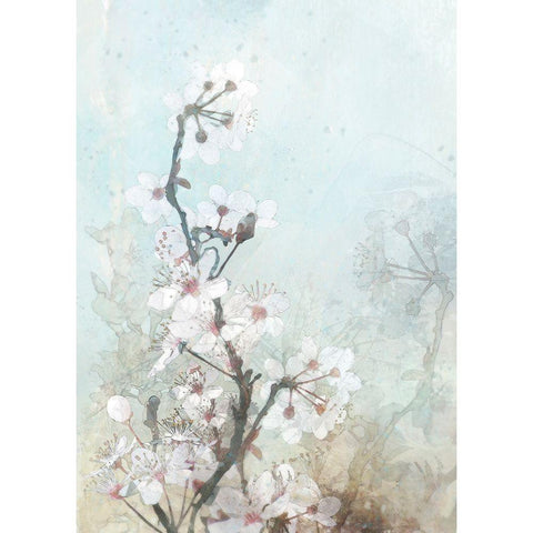 Climbing Cherry Blossoms II  Black Modern Wood Framed Art Print by Roko, Ken
