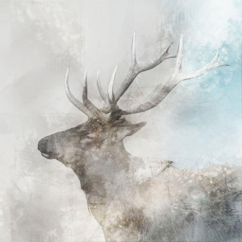 Stag Gaze I Black Modern Wood Framed Art Print with Double Matting by Roko, Ken