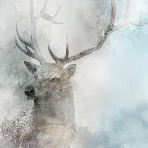 Stag Gaze II Black Modern Wood Framed Art Print by Roko, Ken