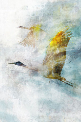 Crane Flight I Black Modern Wood Framed Art Print by Roko, Ken