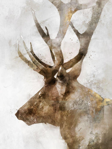 Stoic Elk Black Ornate Wood Framed Art Print with Double Matting by Roko, Ken