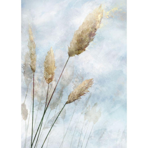 Reed Field I  White Modern Wood Framed Art Print by Roko, Ken